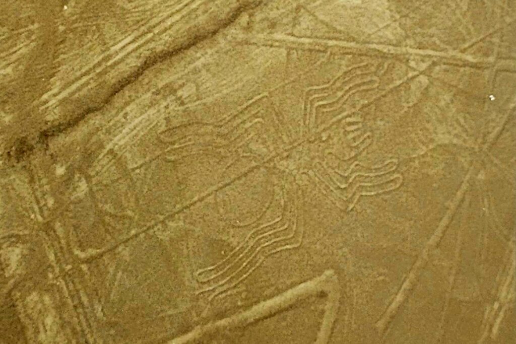 Small plane flying over Nazca Lines