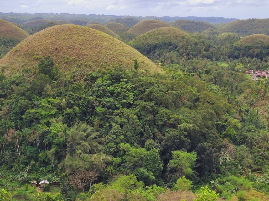 Chocolate Hills in Bohol