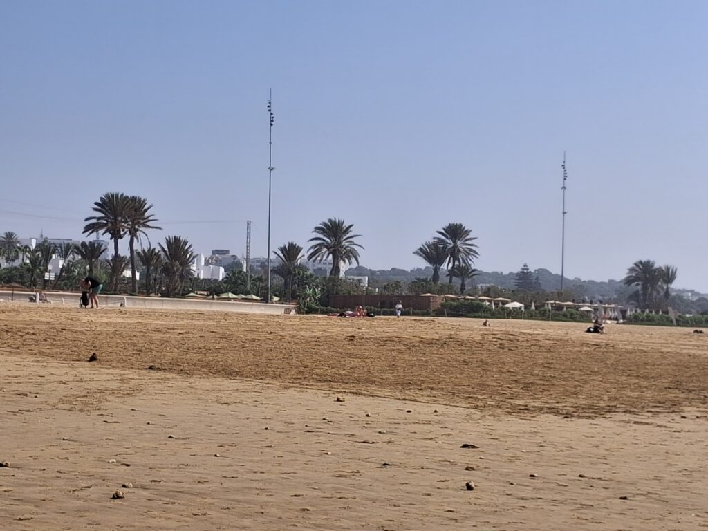 Moroccan cuisine including skewers, salads, and bread.